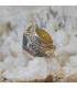 Bague "sunshine" en argent et quartz rutilé doré