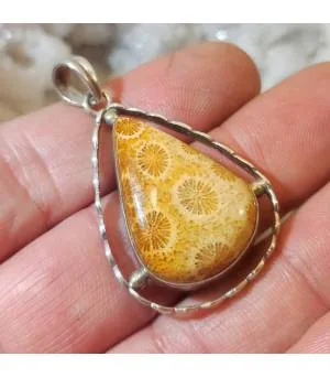Pendentif corail fossilisé argent