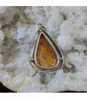 Pendentif corail fossilisé argent