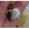 Bague argent bijoux pierre naturelle corail fossilisé shantilight