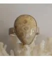Bague argent corail fossilisé Shantilight