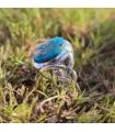 Bague Vardhana-Pahal – Argent 925 & Turquoise