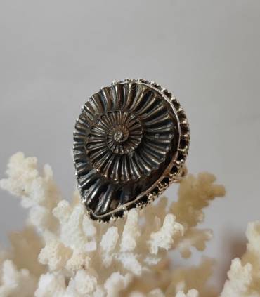 Bague royale en argent et ammonite fossilisé en pyrite