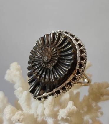 Bague royale en argent et ammonite fossilisé en pyrite