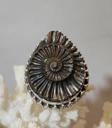 Bague royale en argent et ammonite fossilisé en pyrite