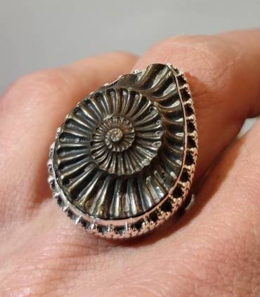 Bague royale en argent et ammonite fossilisé en pyrite