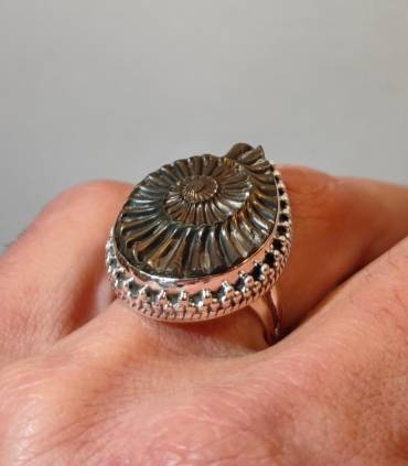 Bague royale en argent et ammonite fossilisé en pyrite