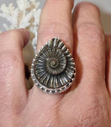 Bague royale en argent et ammonite fossilisé en pyrite