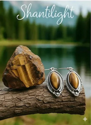 boucles d'oreilles argent et oeil de tigre